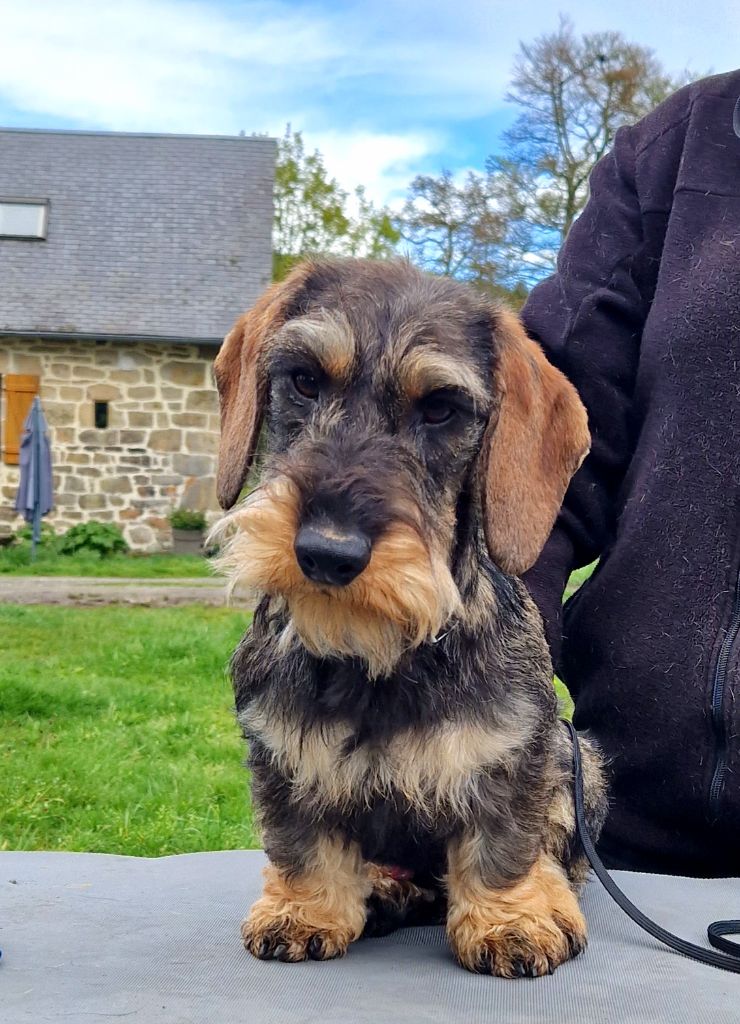 Un beau gosse de la Cascade d'Orion